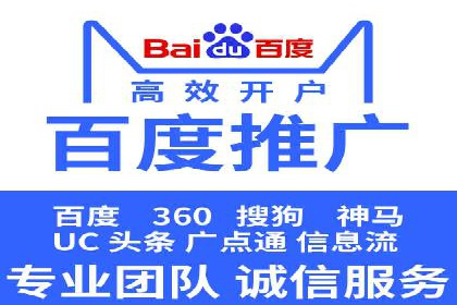 某电商平台的SEM优化托管实践与效果评估